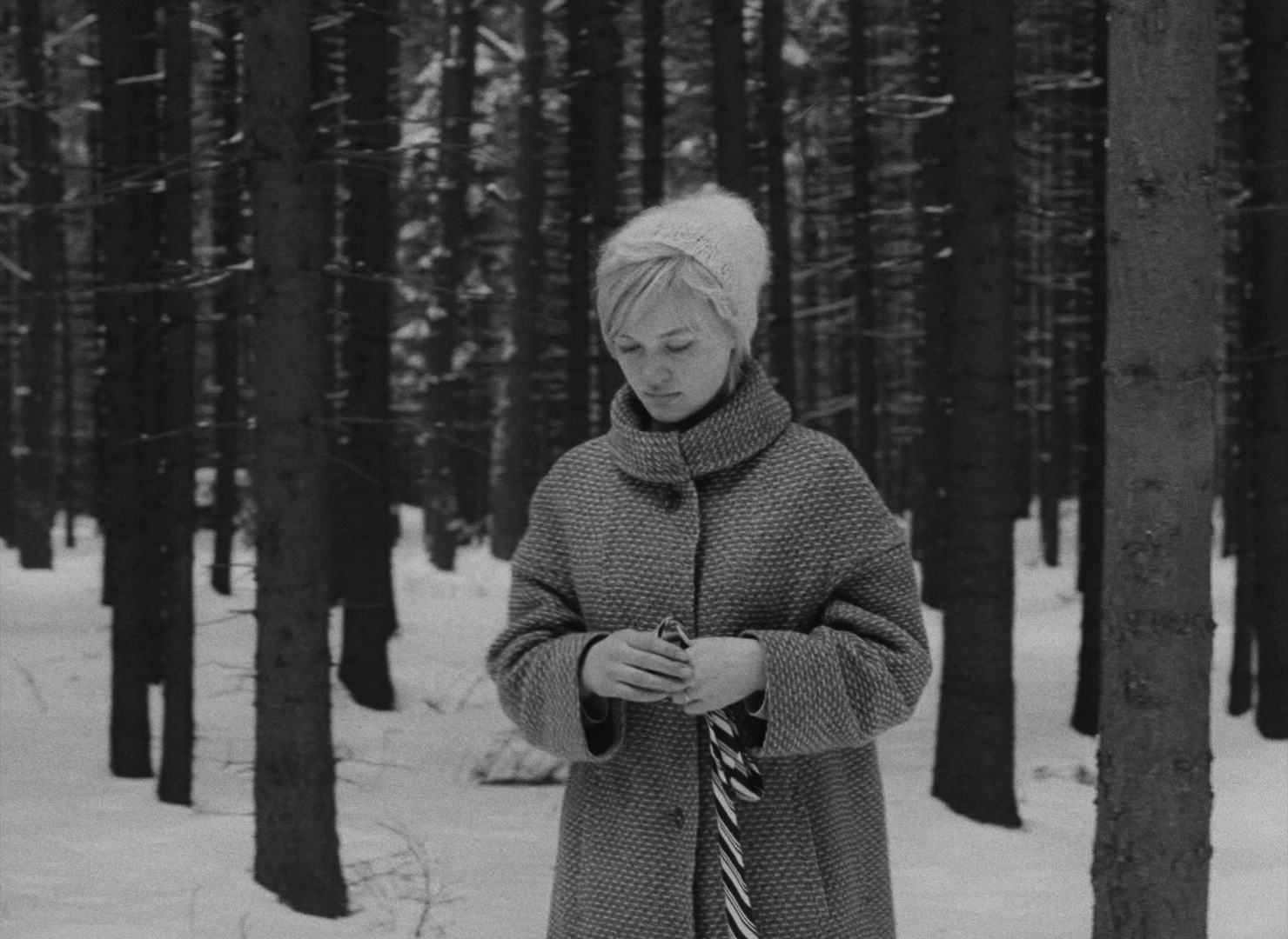 Lásky jedné plavovlásky (1965), wide, 1.37:1 — film still