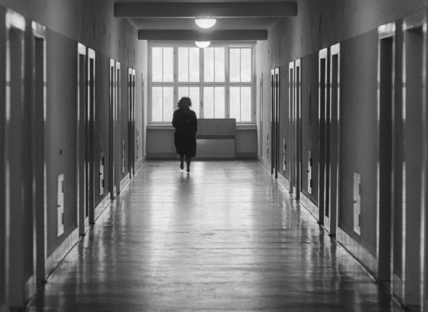 Lásky jedné plavovlásky (1965), wide, 1.37:1 — film still