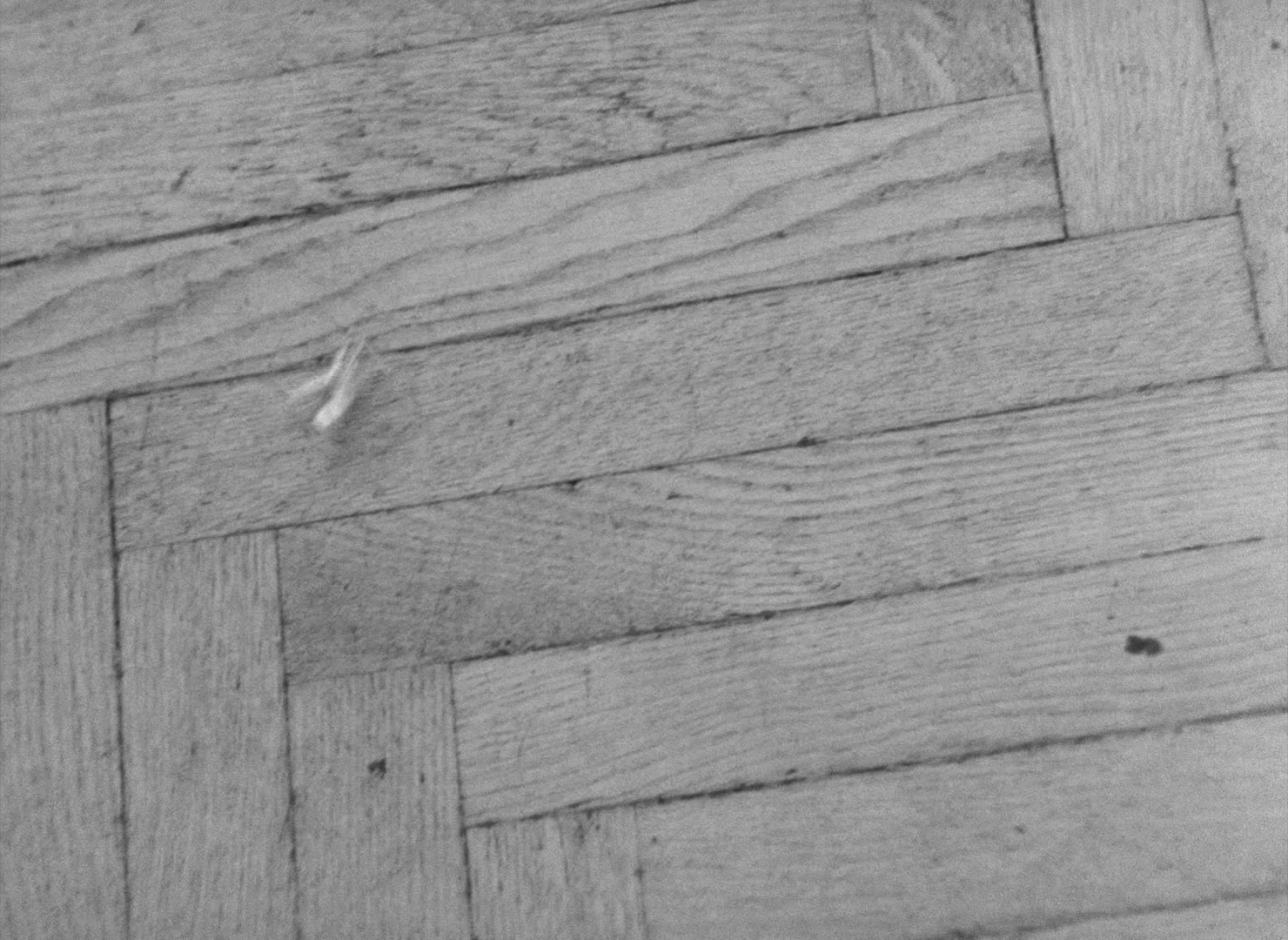 Lásky jedné plavovlásky (1965), unknown, 1.37:1 — film still