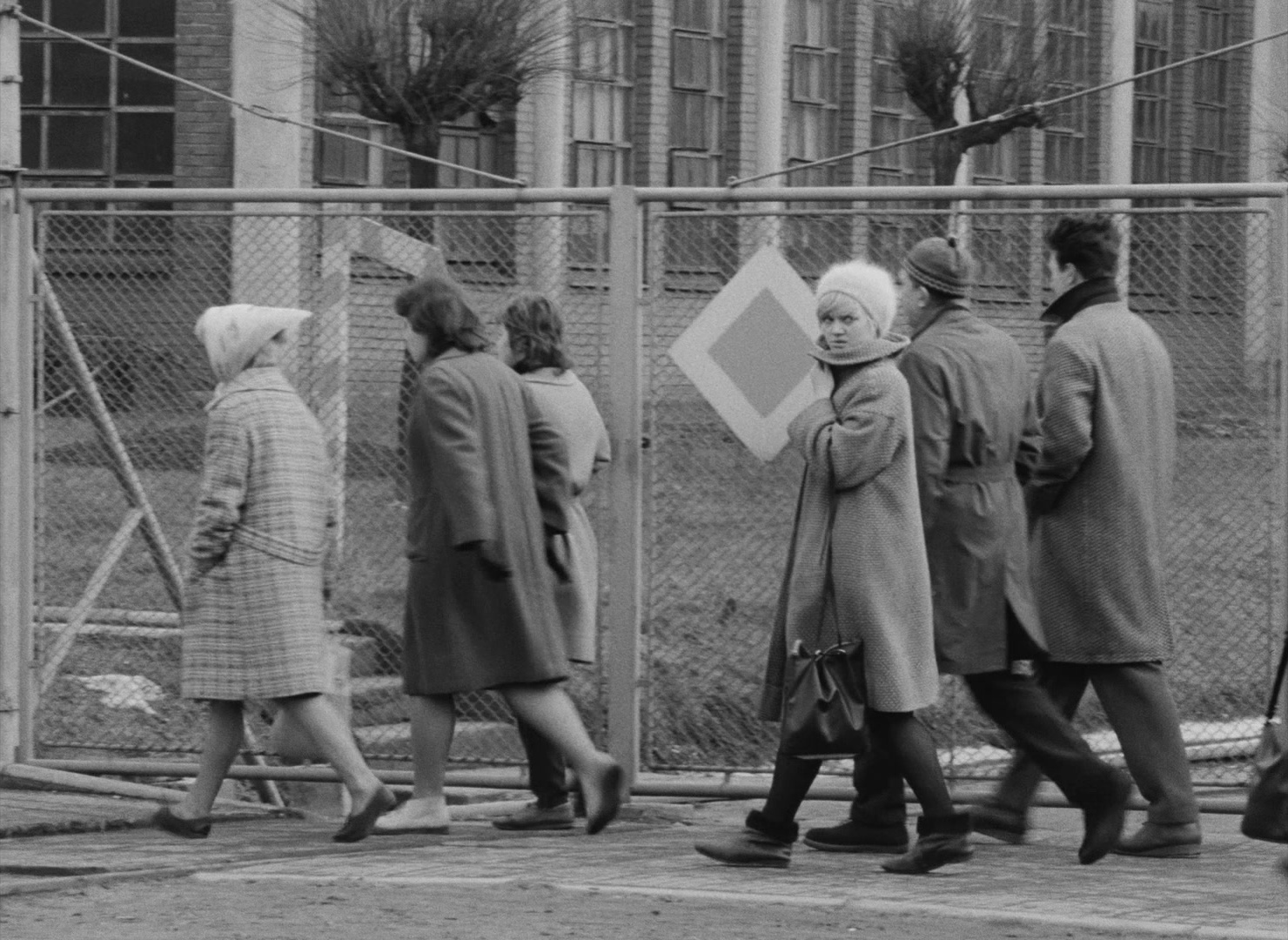 Lásky jedné plavovlásky (1965), wide, 1.37:1 — film still