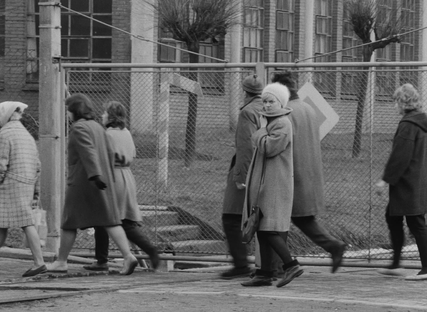 Lásky jedné plavovlásky (1965), wide, 1.37:1 — film still
