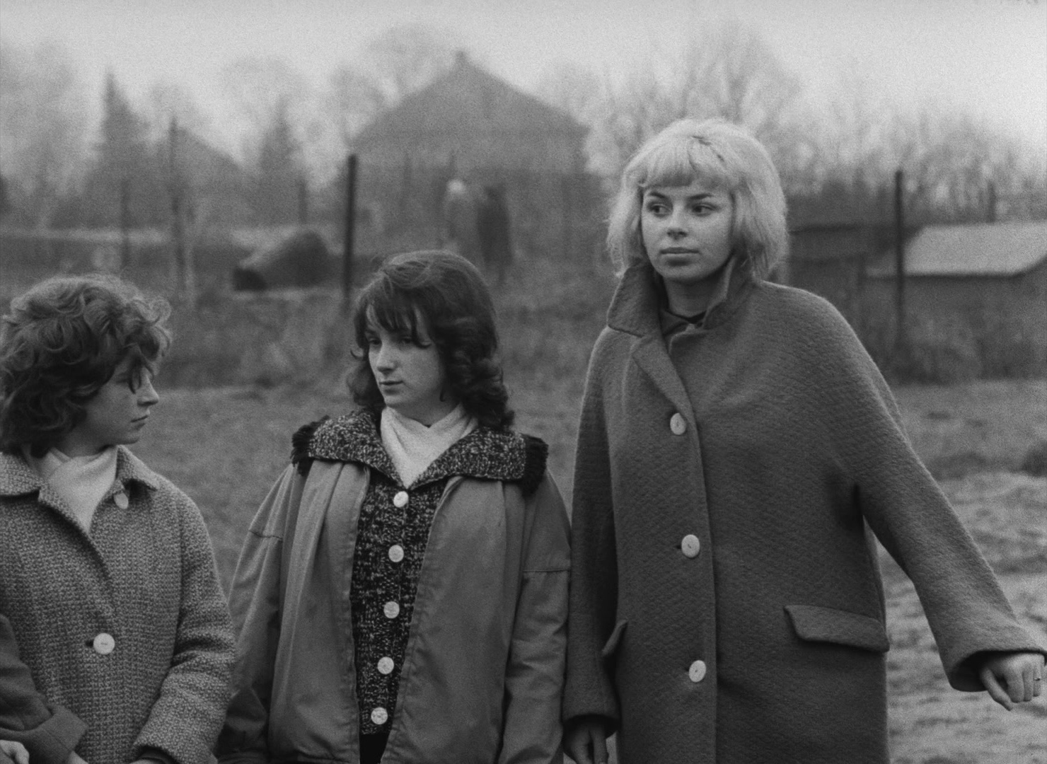 Lásky jedné plavovlásky (1965), wide, 1.37:1 — film still