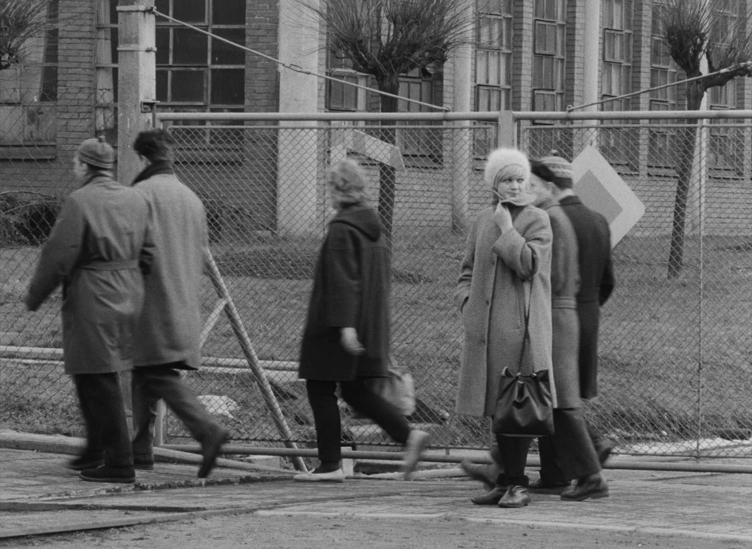 Lásky jedné plavovlásky (1965), wide, 1.37:1 — film still