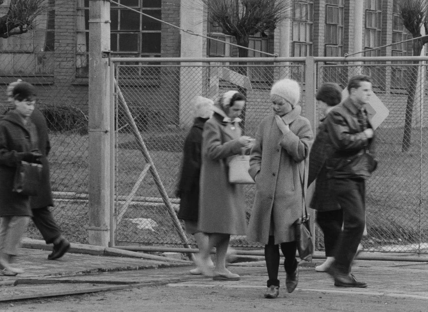 Lásky jedné plavovlásky (1965), wide, 1.37:1 — film still