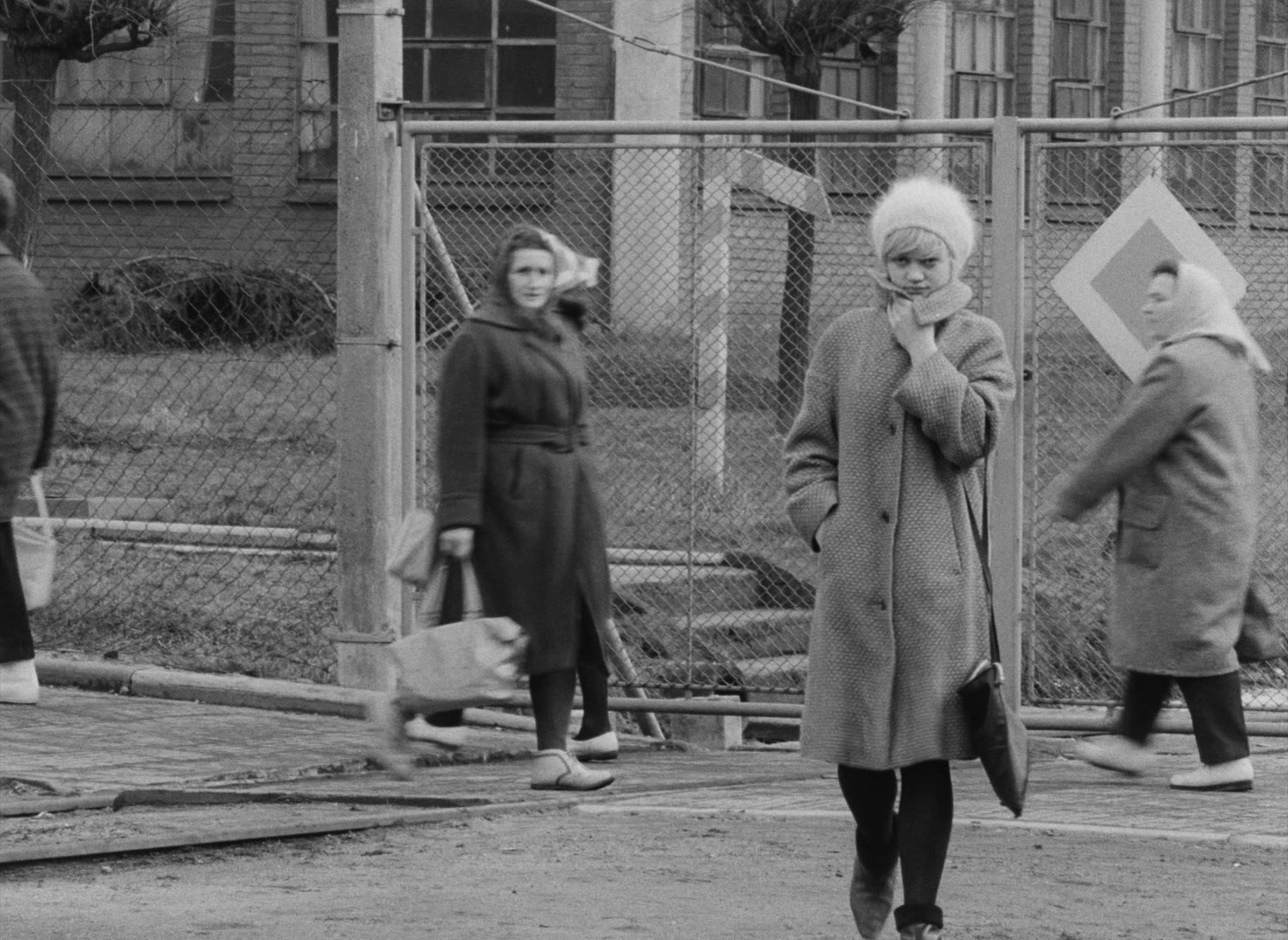 Lásky jedné plavovlásky (1965), wide, 1.37:1 — film still