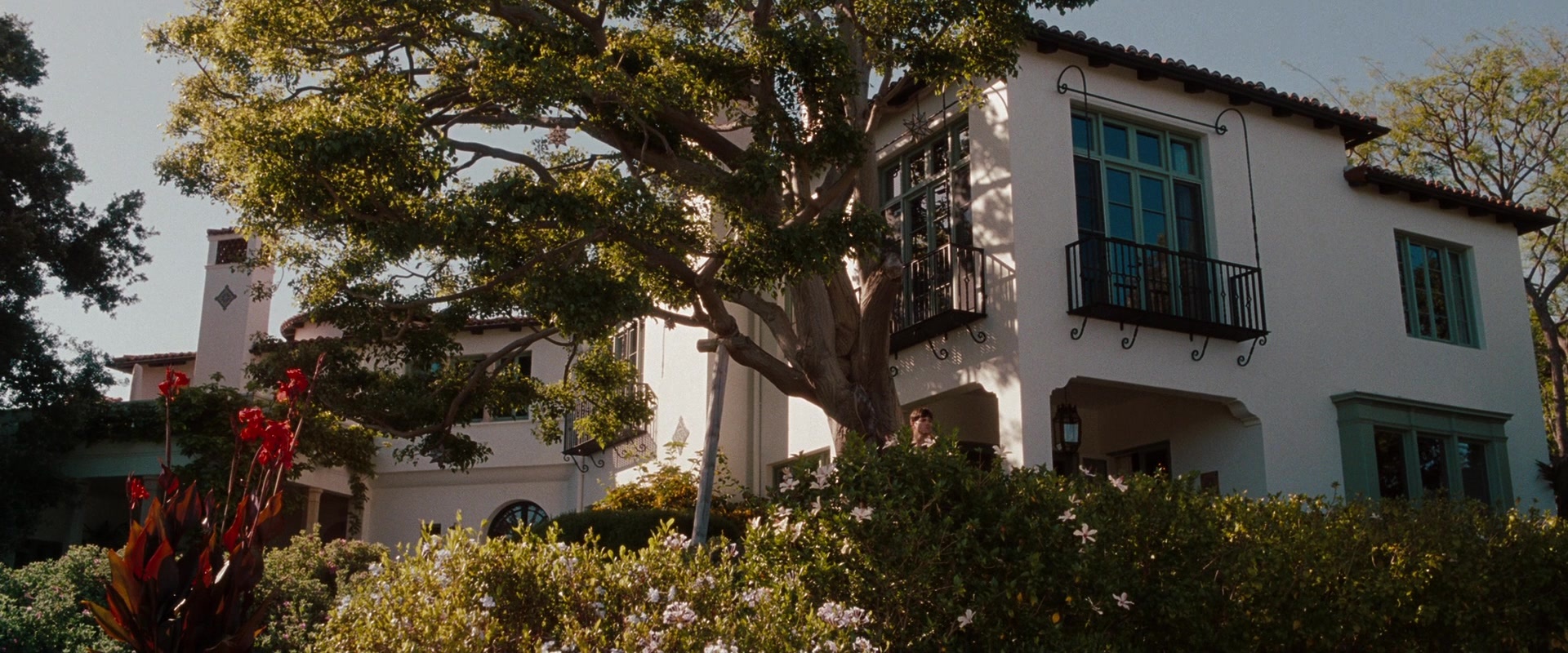 No Strings Attached (2010), wide, 2.40:1 — film still
