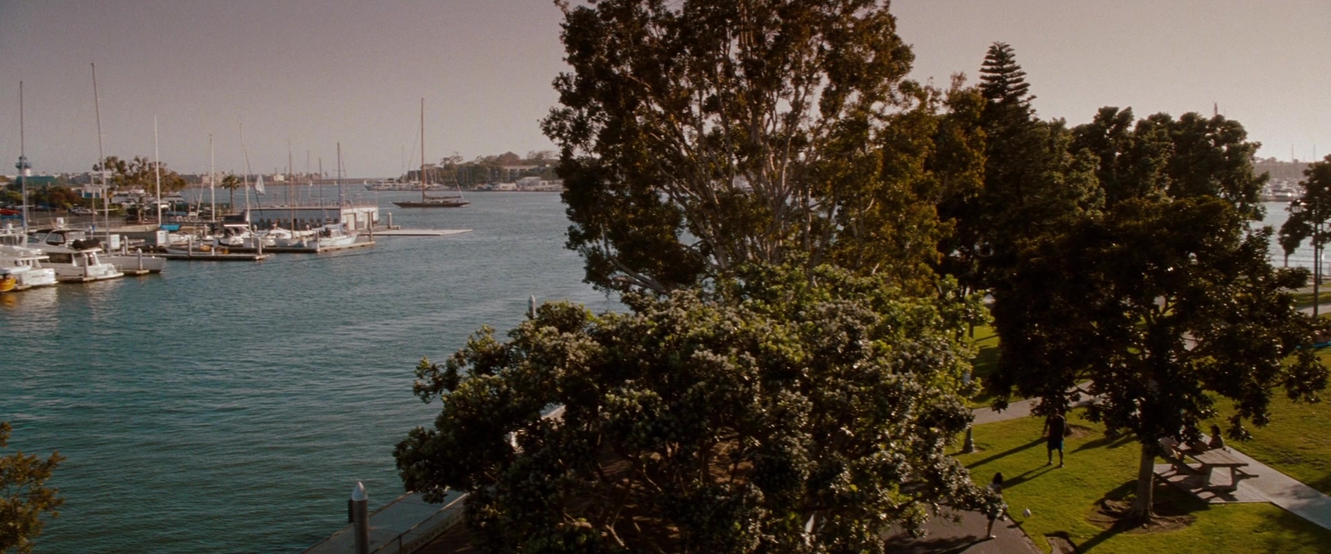 No Strings Attached (2010), unknown, 2.40:1 — film still