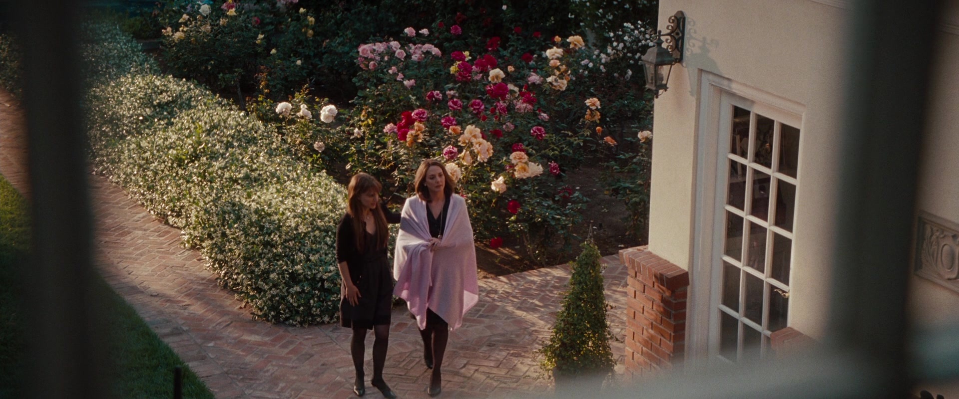 No Strings Attached (2010), wide, 2.40:1 — film still