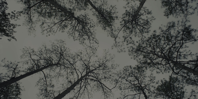 seria-271939.jpg
