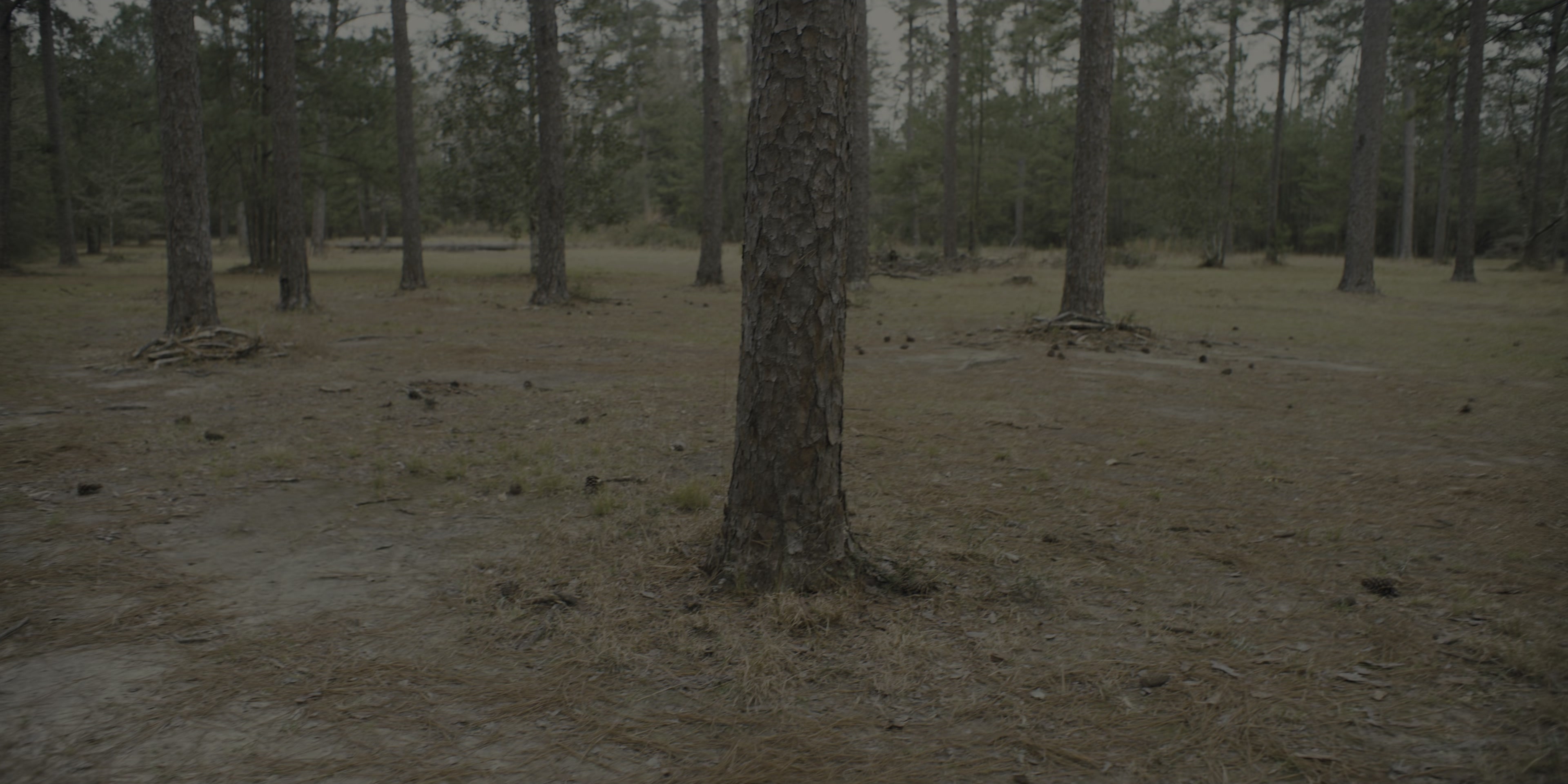 Five Nights at Freddy's (2023), wide, 2.00:1 — film still