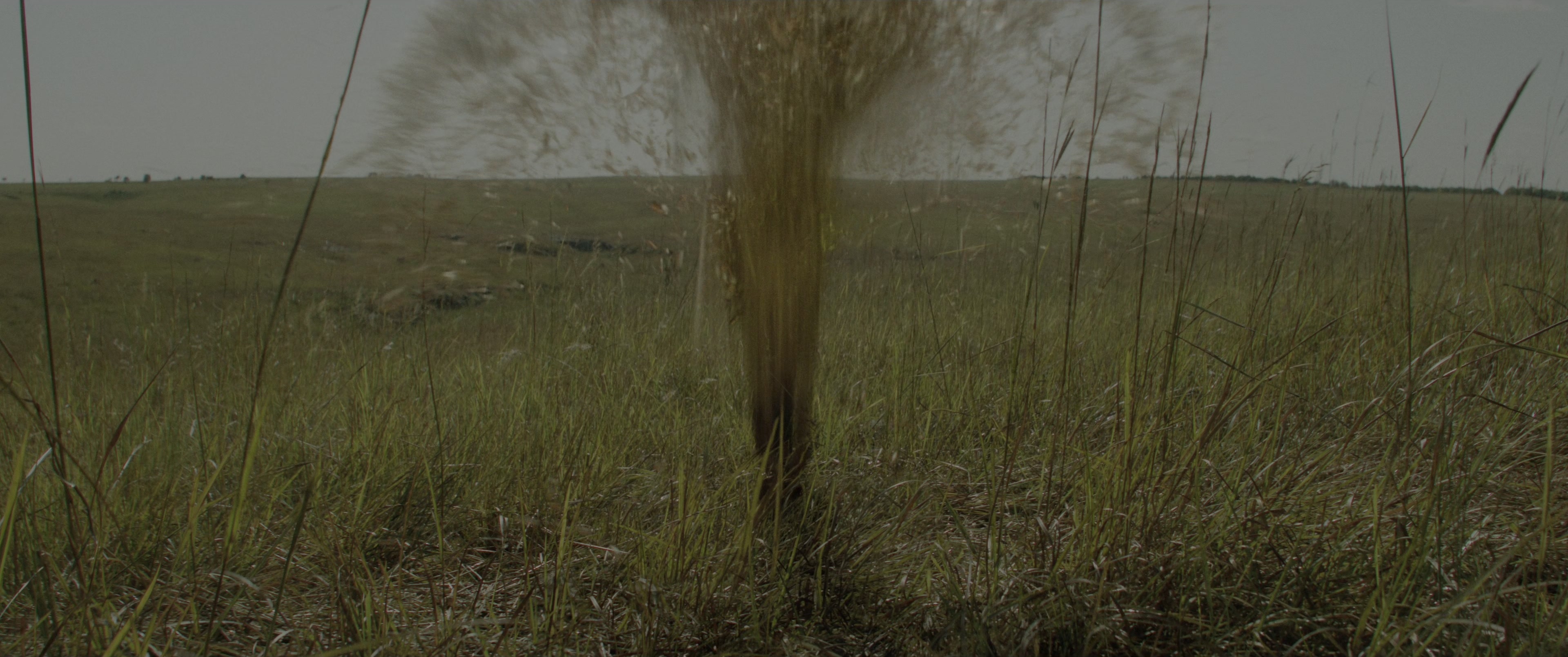 Killers of the Flower Moon (2023), wide, 2.39:1 — film still
