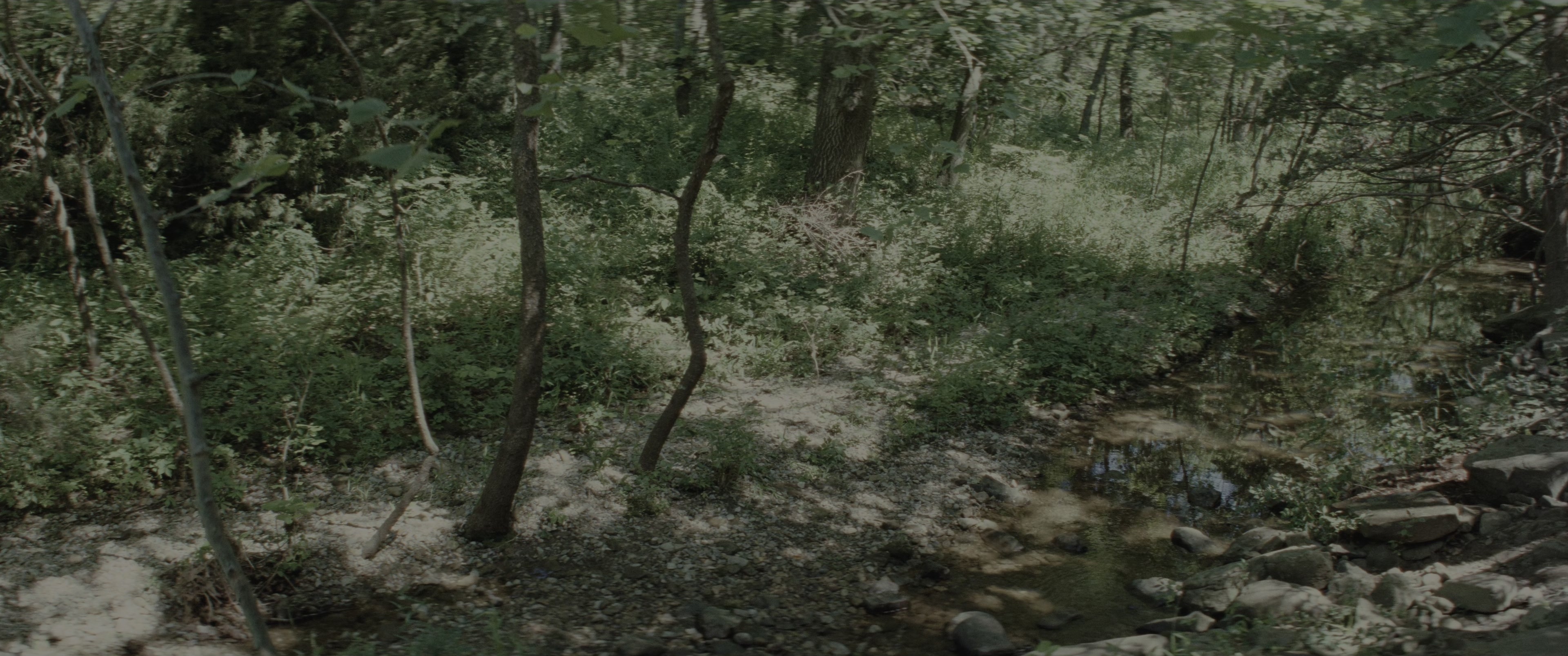 Killers of the Flower Moon (2023), wide, 2.39:1 — film still