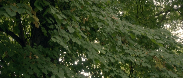 Nymphomaniac: Vol. I — film still