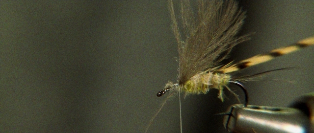 seria-607273.jpg