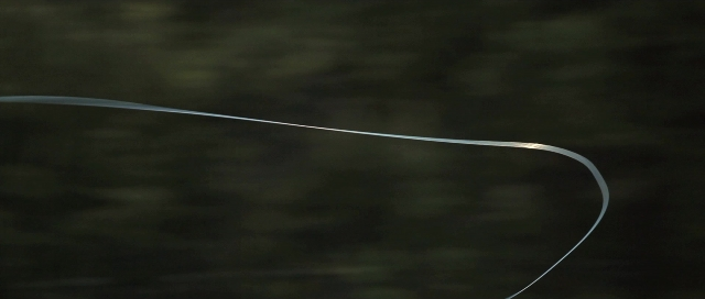 seria-627085.jpg