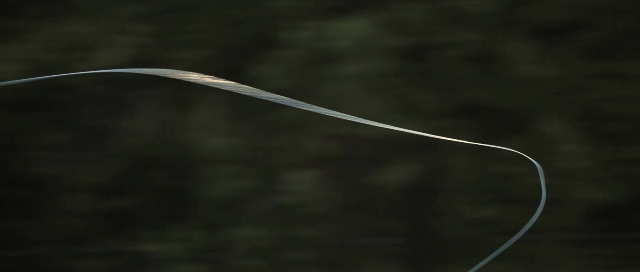 seria-627293.jpg