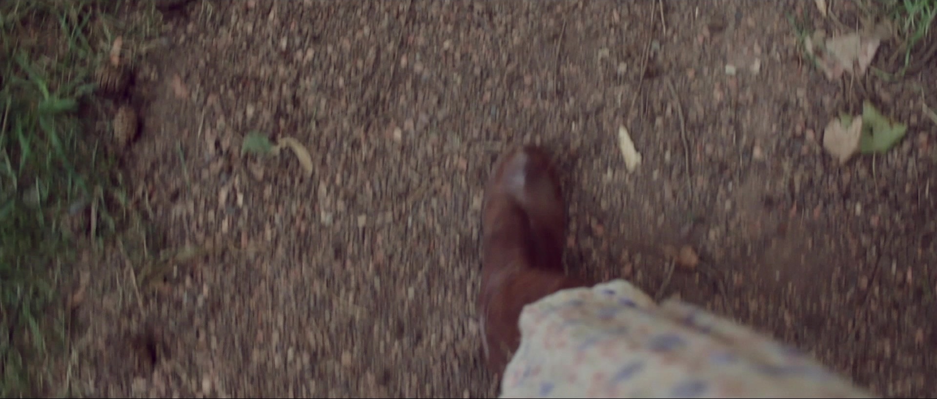 Nymphomaniac: Vol. I (2013), unknown, 2.35:1 — film still