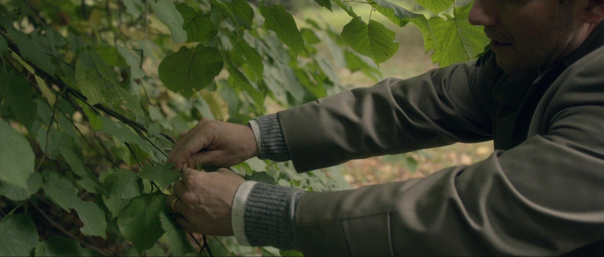 Nymphomaniac: Vol. I (2013), wide, 2.35:1 — film still