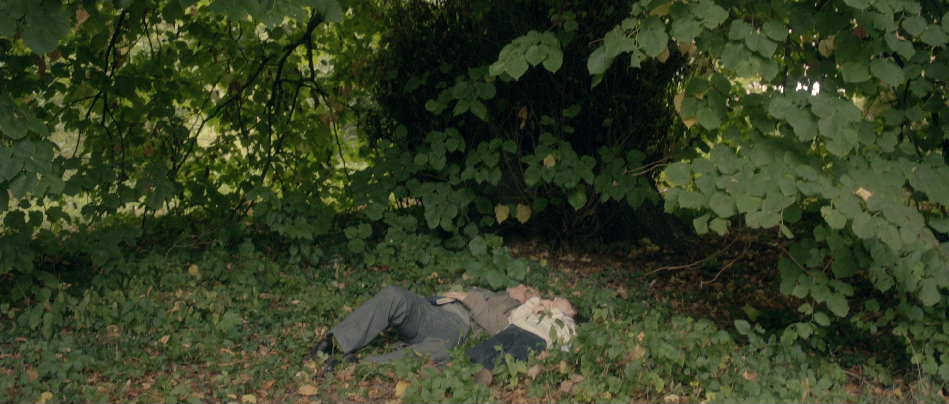 Nymphomaniac: Vol. I (2013), wide, 2.35:1 — film still