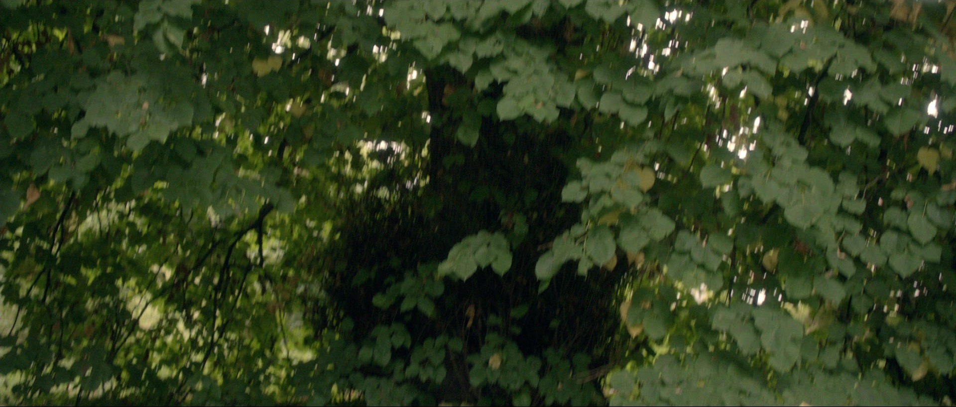 Nymphomaniac: Vol. I (2013), wide, 2.35:1 — film still