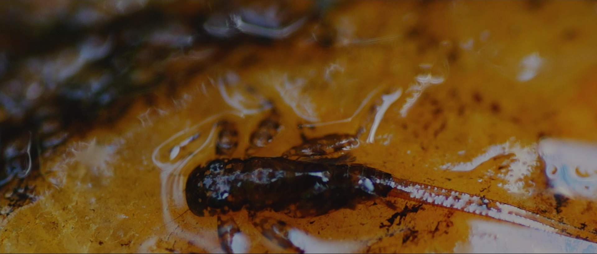 Nymphomaniac: Vol. I (2013), wide, 2.35:1 — film still