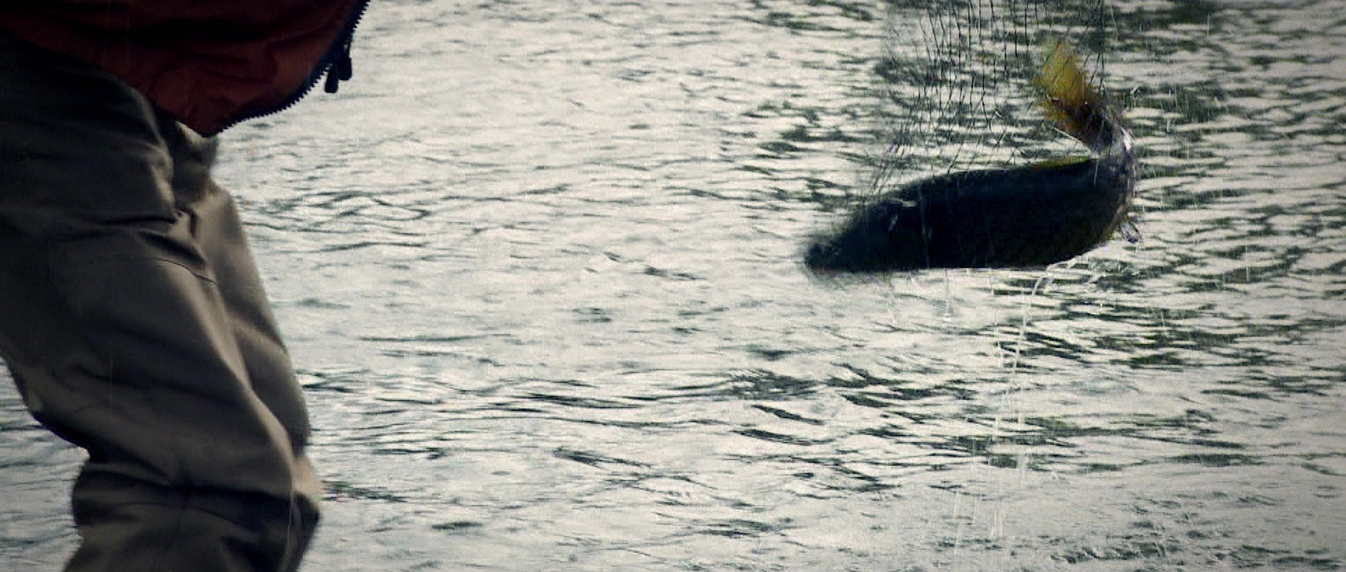 Nymphomaniac: Vol. I (2013), unknown, 2.35:1 — film still