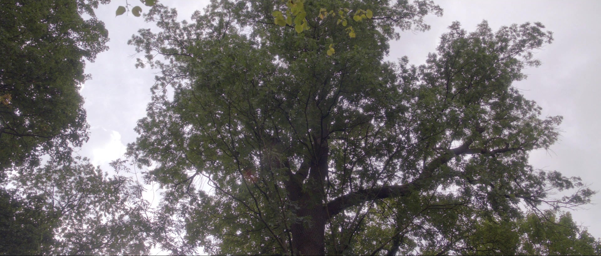 Nymphomaniac: Vol. I (2013), wide, 2.35:1 — film still