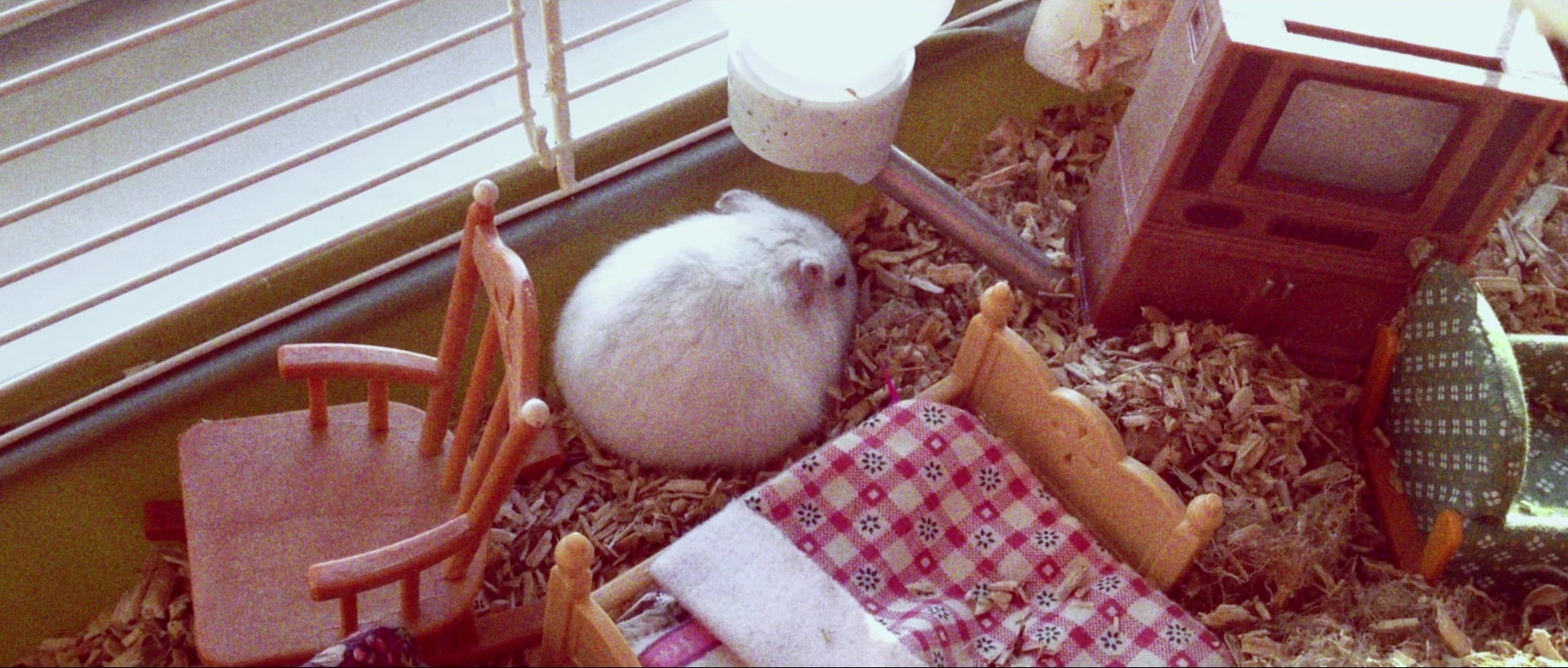 Nymphomaniac: Vol. I (2013), unknown, 2.35:1 — film still