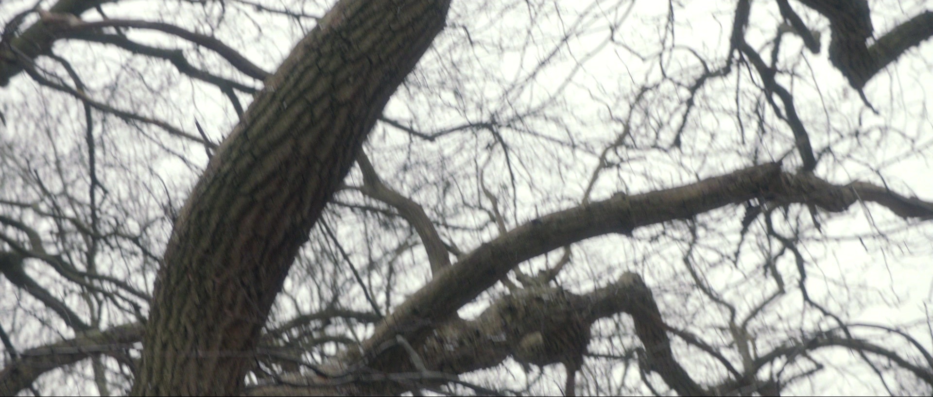 Nymphomaniac: Vol. I (2013), wide, 2.35:1 — film still