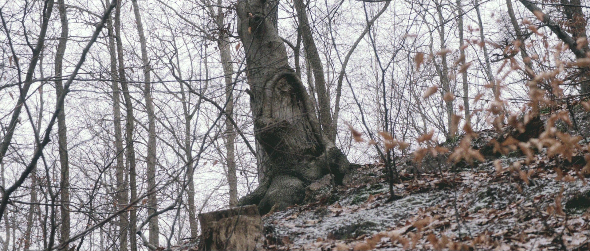 Nymphomaniac: Vol. I (2013), wide, 2.35:1 — film still