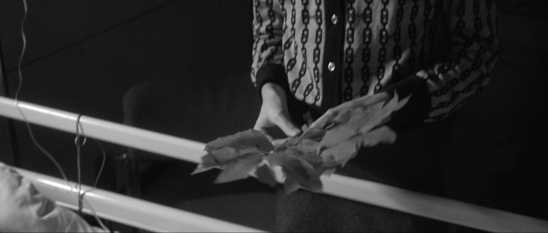 Nymphomaniac: Vol. I (2013), wide, 2.35:1 — film still