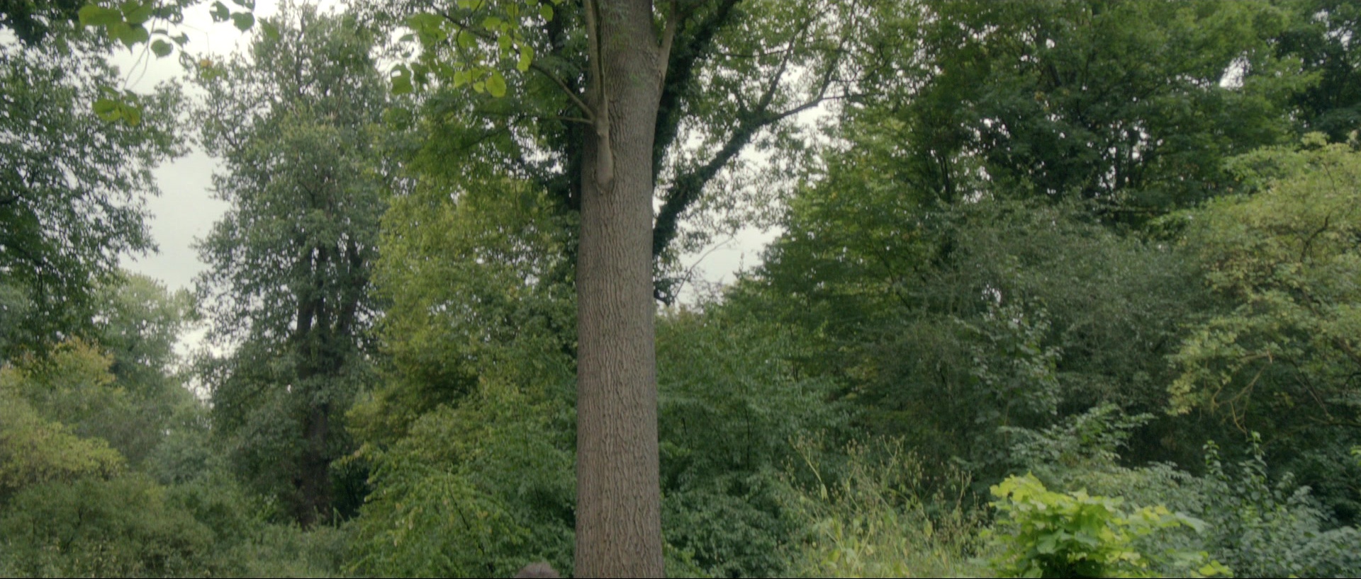 Nymphomaniac: Vol. I (2013), wide, 2.35:1 — film still