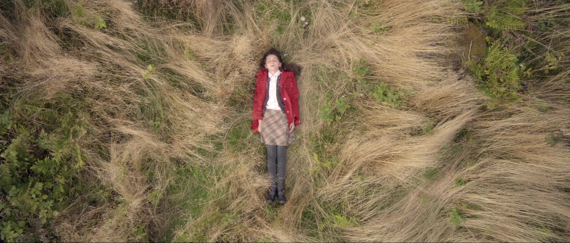 Nymphomaniac: Vol. II (2013), wide, 2.35:1 — film still