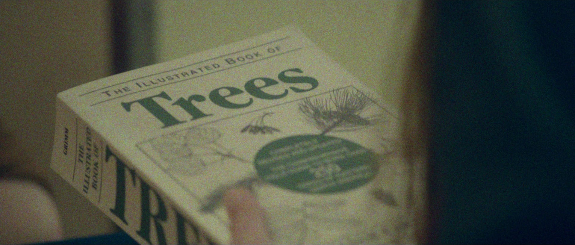 Nymphomaniac: Vol. II (2013), unknown, 2.35:1 — film still
