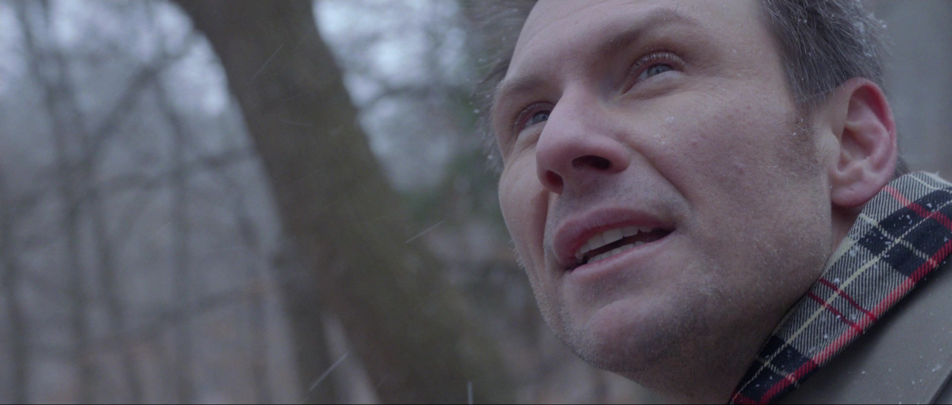 Nymphomaniac: Vol. II (2013), medium, 2.35:1 — film still
