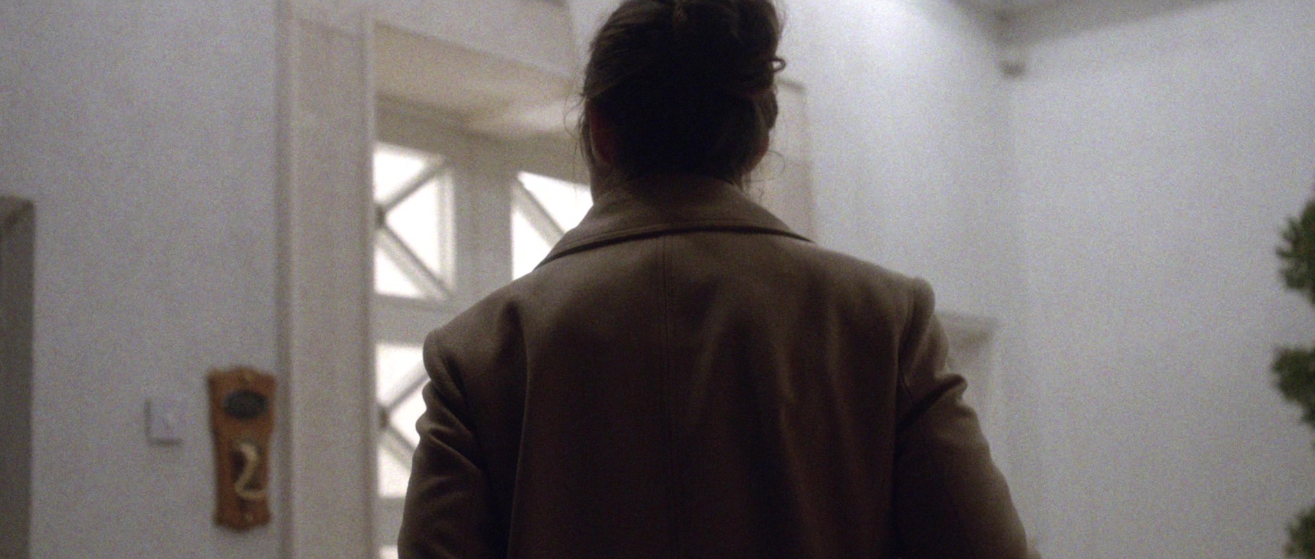 Nymphomaniac: Vol. II (2013), unknown, 2.35:1 — film still