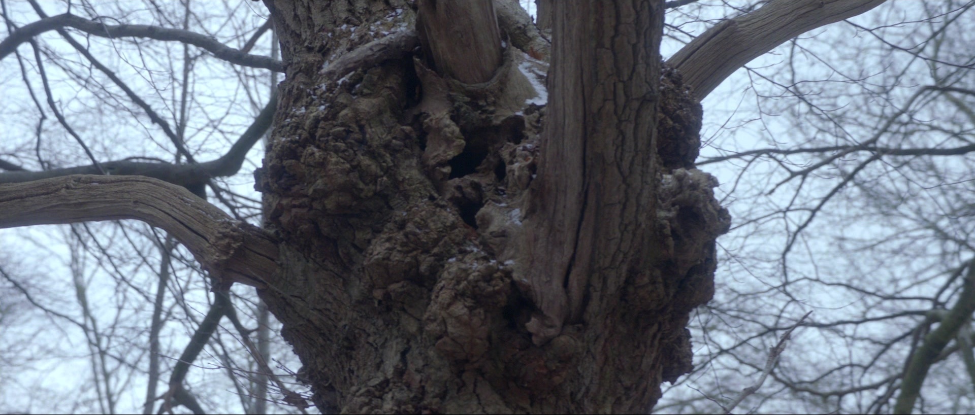 Nymphomaniac: Vol. II (2013), wide, 2.35:1 — film still
