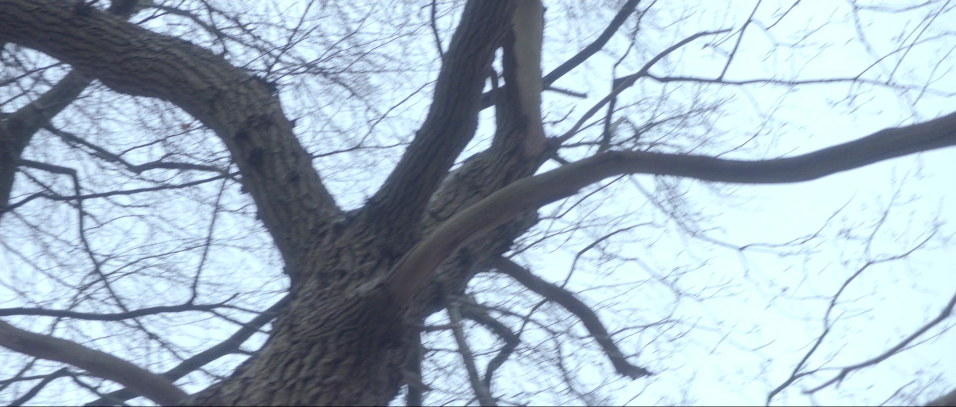 Nymphomaniac: Vol. II (2013), wide, 2.35:1 — film still