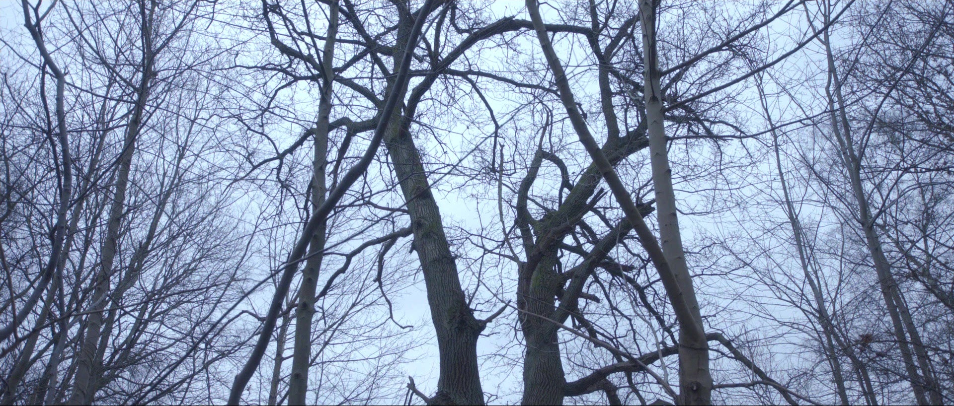 Nymphomaniac: Vol. II (2013), wide, 2.35:1 — film still
