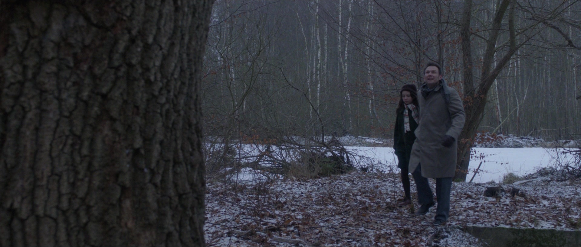 Nymphomaniac: Vol. II (2013), wide, 2.35:1 — film still