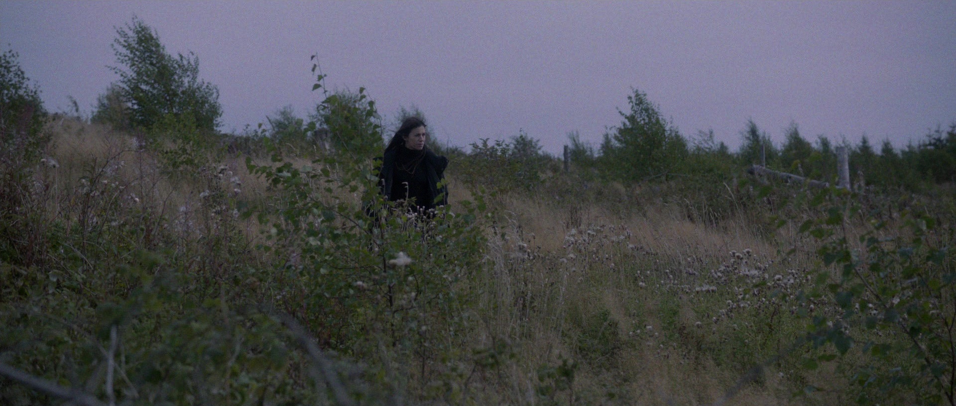 Nymphomaniac: Vol. II (2013), wide, 2.35:1 — film still