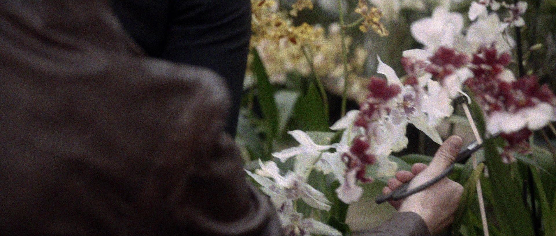 Nymphomaniac: Vol. II (2013), wide, 2.35:1 — film still