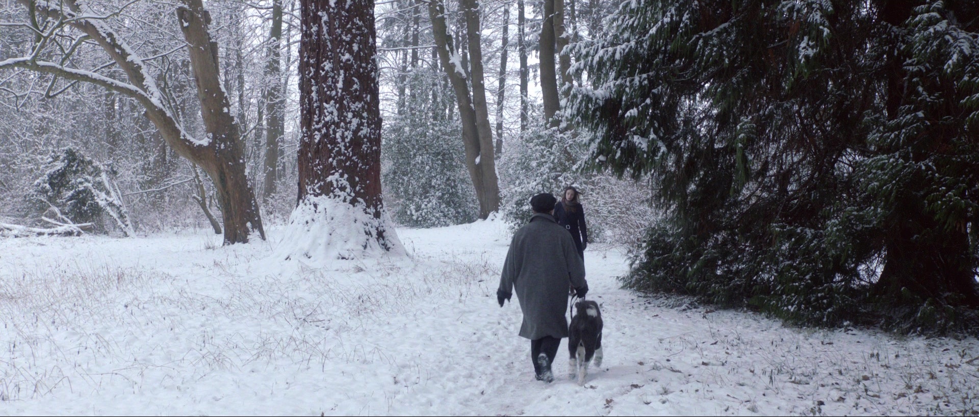 Nymphomaniac: Vol. II (2013), wide, 2.35:1 — film still