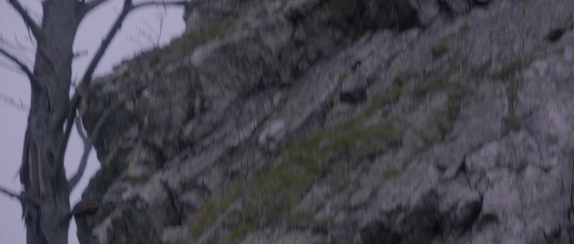 Nymphomaniac: Vol. II (2013), wide, 2.35:1 — film still