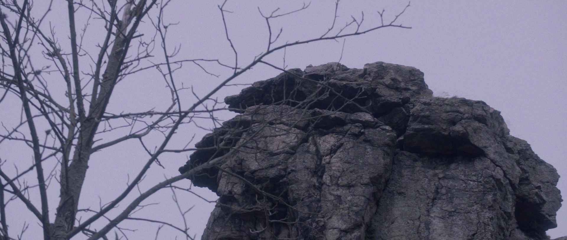 Nymphomaniac: Vol. II (2013), wide, 2.35:1 — film still