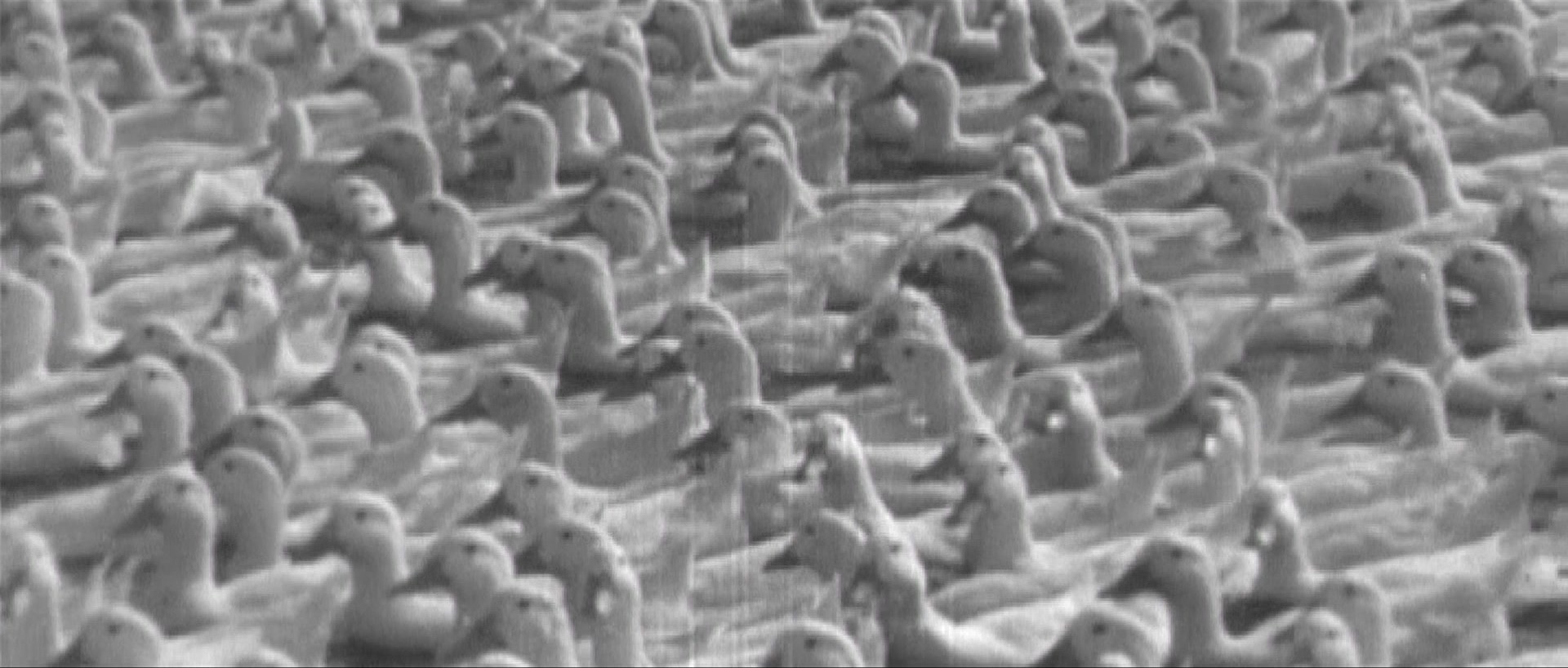 Nymphomaniac: Vol. II (2013), unknown, 2.35:1 — film still