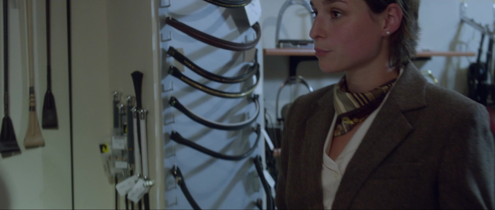Nymphomaniac: Vol. II (2013), unknown, 2.35:1 — film still