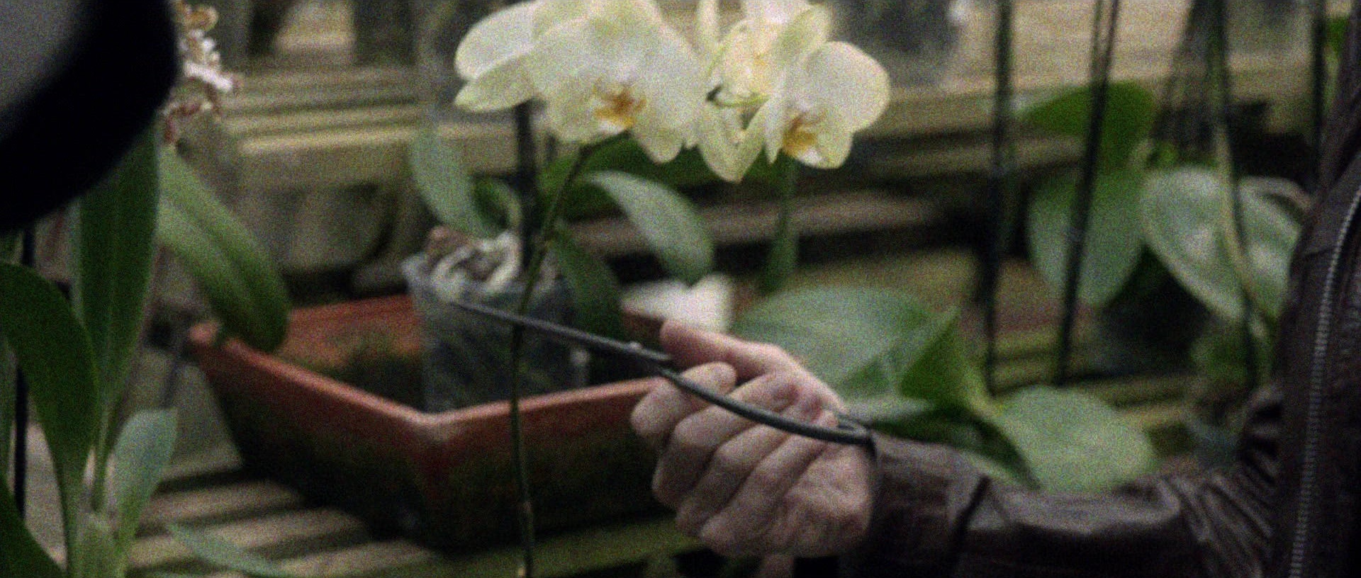 Nymphomaniac: Vol. II (2013), wide, 2.35:1 — film still