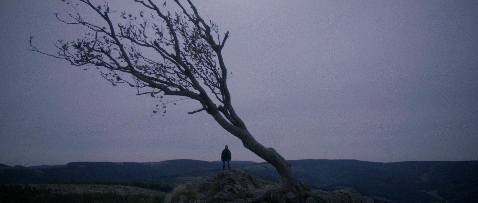 Nymphomaniac: Vol. II (2013), unknown, 2.35:1 — film still