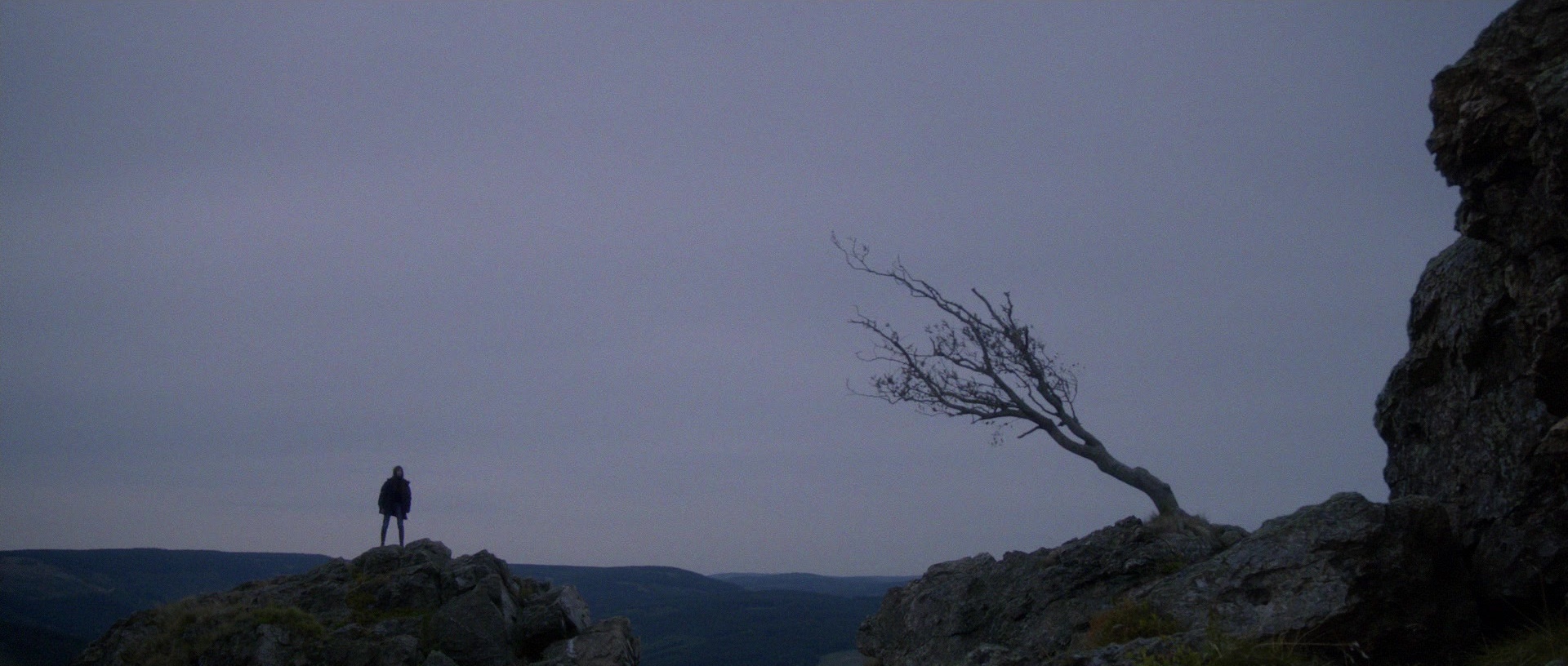 Nymphomaniac: Vol. II (2013), unknown, 2.35:1 — film still